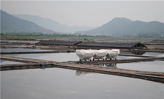 [세종四方]변산반도 채석강…"바다와 오랜 시간속에 그냥 웃지요"
