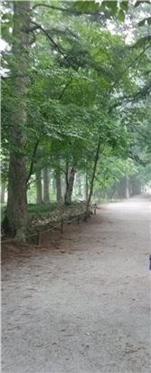 [세종四方]변산반도 채석강…"바다와 오랜 시간속에 그냥 웃지요"