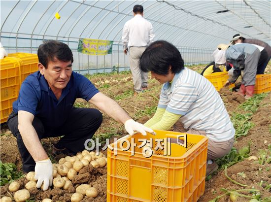 다 함께, 멋지게, 노블레스 오블리주