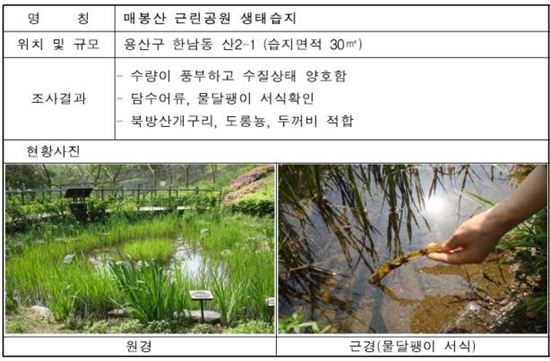 매봉산 자연습지에 산개구리 푼다