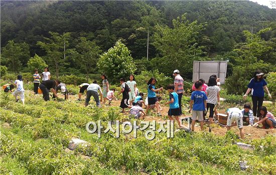 광양시, 형제의병장 정보화마을  '교육 기부' 에 앞장서