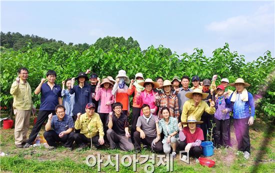 정읍시 공무원, 농촌일손돕기 손길 이어져