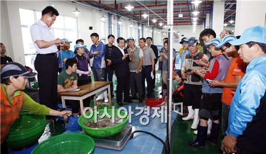 보성회천수산물위판장에서 첫 경매 열려