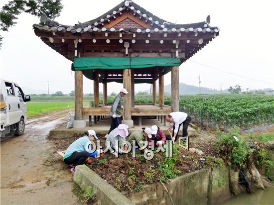 정읍시보건소, 친환경식물 구문초로 모기 퇴치 ‘눈길’