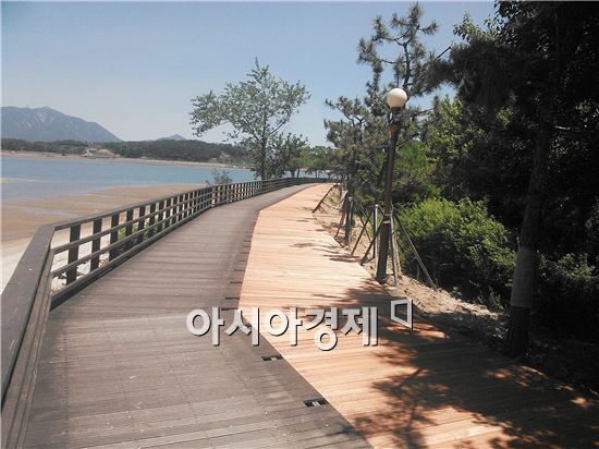 대한민국 명품, 광양 섬진강 자전거 길 개통 