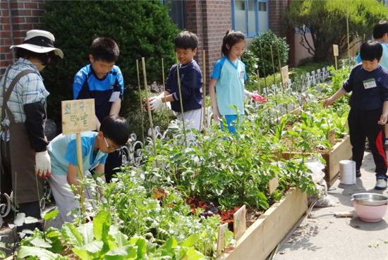 광주 남구, 효덕초등학교에 정원숲 조성