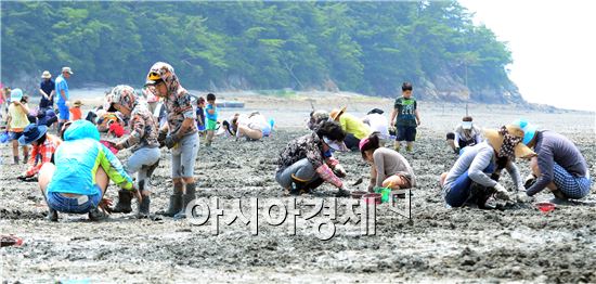 [포토]여수 여자만 갯벌노을축제 성료