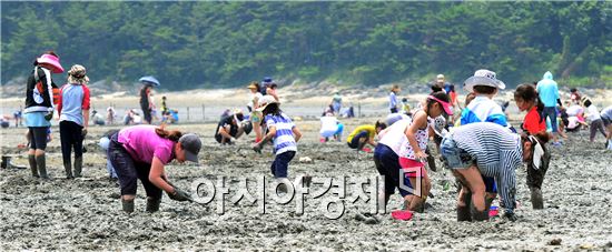 [포토]여수 여자만 갯벌노을축제 성료
