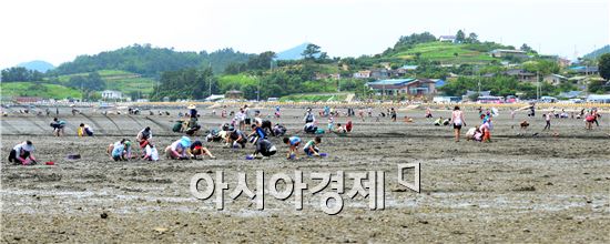 [포토]여수 여자만 갯벌노을축제 성료