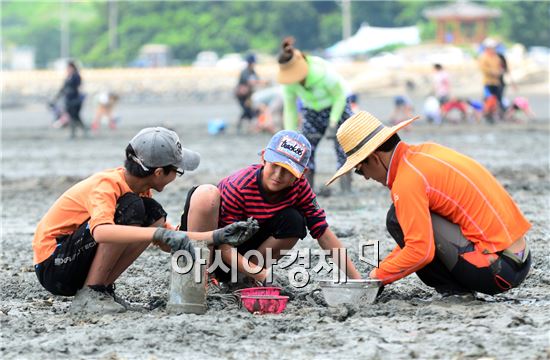 [포토]여수 여자만 갯벌노을축제 성료