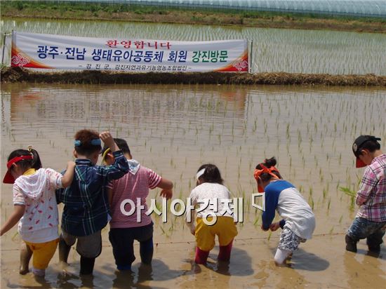 강진 친환경 ‘맑은눈의 쌀’ 최고!