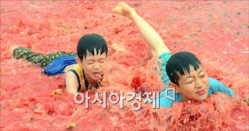 [포토]토마토풀장에서 신나게~
