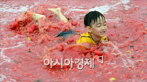 [포토]토마토풀장에서 신선놀음이 따로 없어~