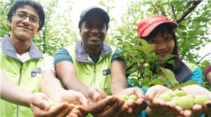 보해, 외국인 유학생과 매실 수확 체험 행사 진행   
