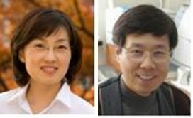 김빛내리·박종일 서울대 교수