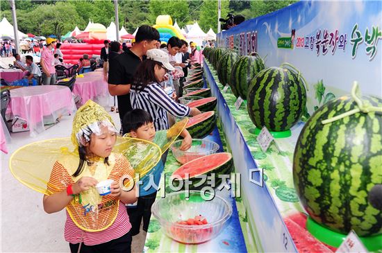 풍천장어와 함께하는 2013 고창 복분자와 수박축제 성료