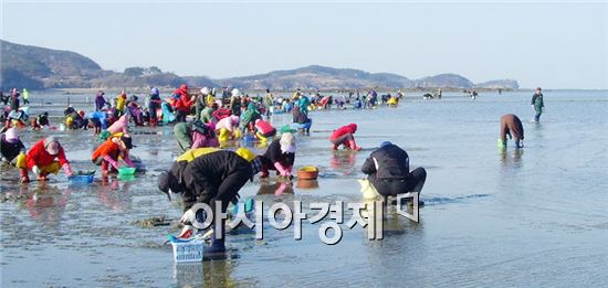 부안에서 마실길도 걷고, 캠핑도 즐기고