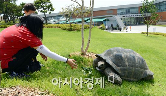 알다브라 거북이, 순천정원박람회장 야외로 산책
