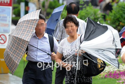 [포토]장마바람 혼비백산 