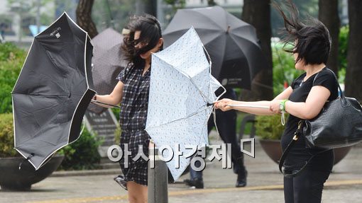 [포토]바람 한 번에 우산 두 개가 