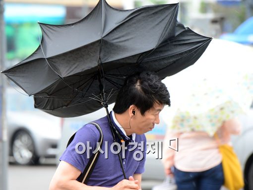 [포토]강한 비바람에 많이 당황하셨어요?