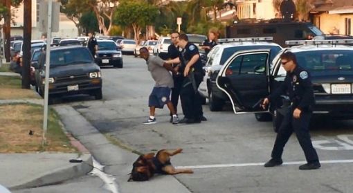美 경찰, 주인 앞에서 애완견 쏴 죽여 논란