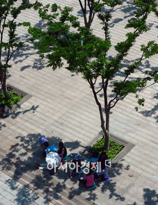 [포토]장맛비 지나가고 반짝더위 