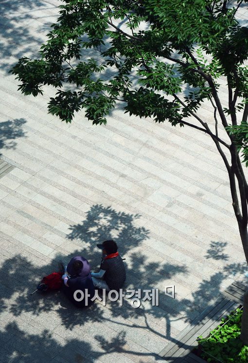 [포토]뜨거운 태양에 가로수 그늘로 
