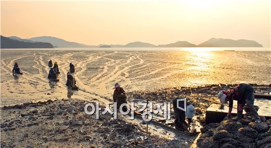 대한민국 최초, 순천만 정치성 구획어업 금어기 자체운영