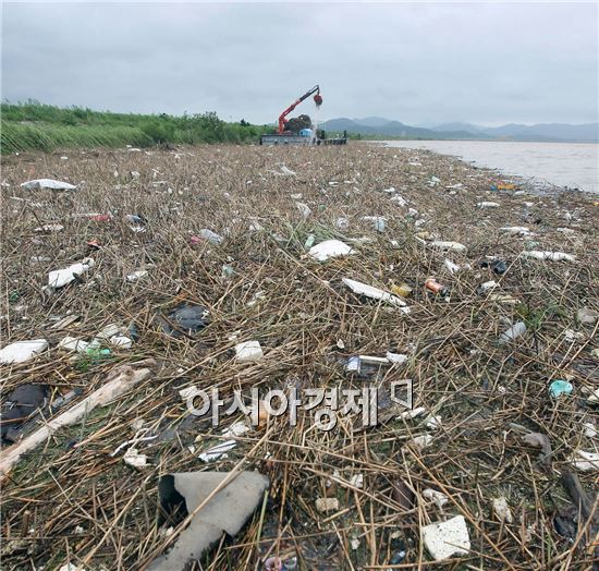 [포토]영산강에 쌓인 산더미 부유물 쓰레기