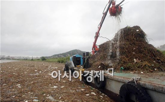 [포토]장마로 쓰레기장 방불케하는 영산강