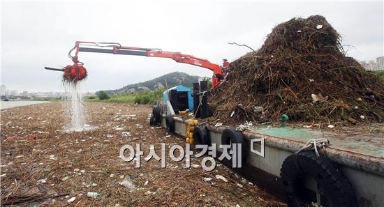 [포토]영산강은 장마철 쓰레기와 전쟁