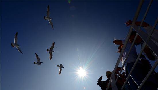 섬에서 섬으로 바다를 건너가다