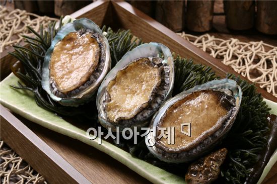 완도전복으로 三伏(삼복)더위 이긴다