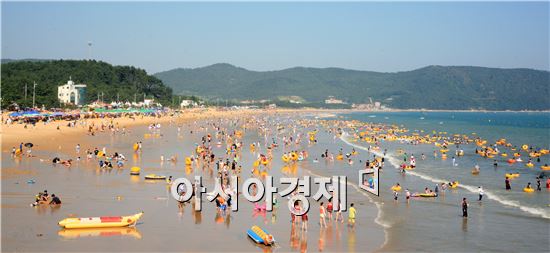 완도군 피서철 관광객맞이 종합대책 추진