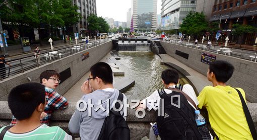 [포토]청계천 들어가지도 못 하고 
