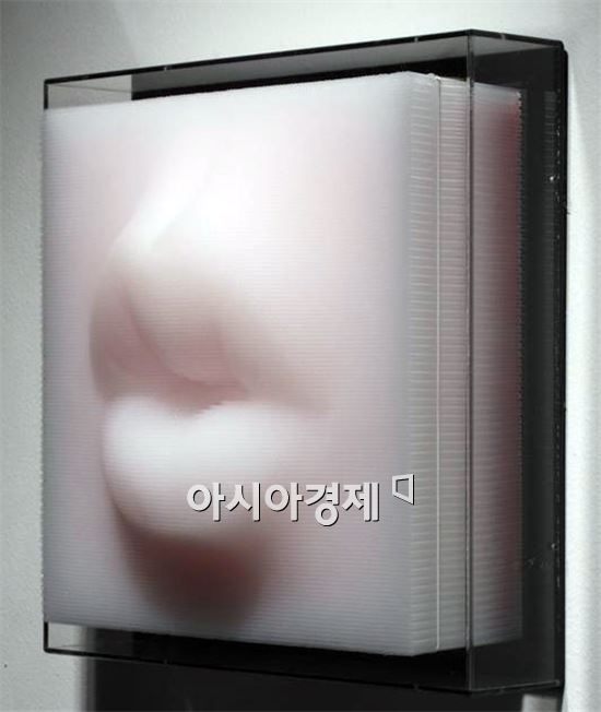 홍상식 작, Mouth-Red(붉은 입술), 2009, 빨대, 입체점묘