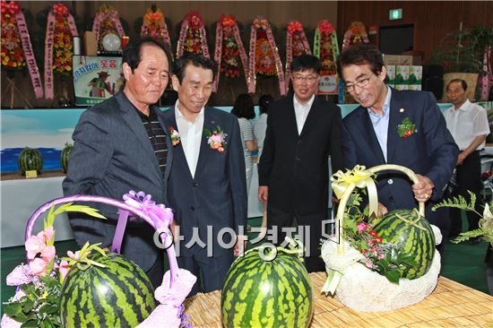 제10회 정읍 단풍미인 씨 없는 수박 품평회 ‘성료’