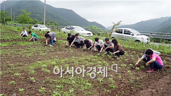 장흥군 공무원 ‘휴경지에 사랑의 콩 심어’이웃사랑 실천 