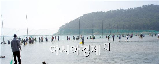 완도에서 바다체험 행사 다채롭게 열린다