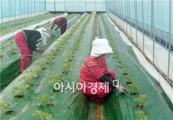 남원시, 출산 여성농업인 농가도우미 적극 지원