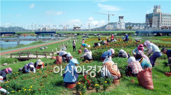 정남진 장흥 2013년도 지역공동체 일자리 하반기 사업 추진 