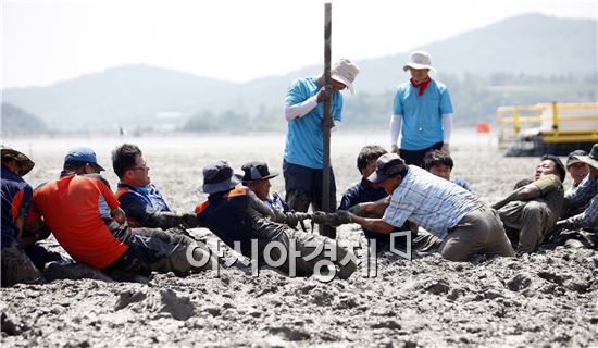 보성군, 갯벌에서 에코 힐링을....