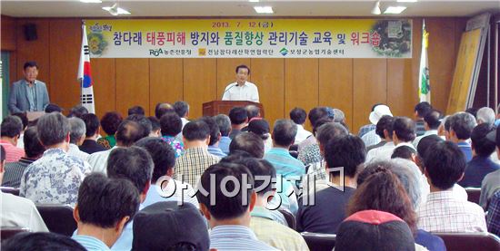 보성군, '녹차미인 보성 참다래' 품질 향상 박차