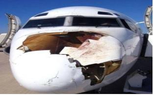 조류충돌로 인한 항공기 레이돔 손상. 출처:국토교통부