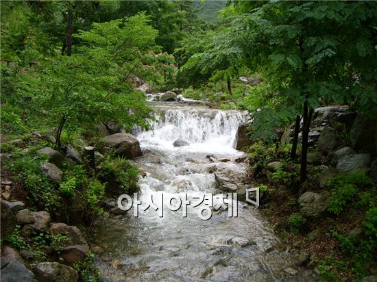 해남군, 가학산 휴양림에서 "한여름밤 숲속음악회" 개최