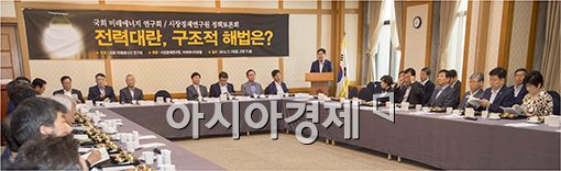 [포토]전력대란, 해법찾기 토론회