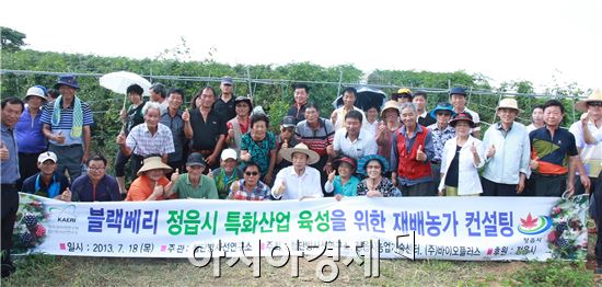 정읍시, ‘블랙베리’ 특화 육성에 박차