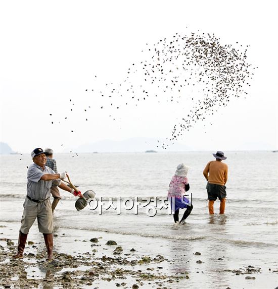 해남군, 수산자원조성으로 어민소득  높여