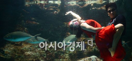 [포토]63씨월드, 국내 최초 수중 탱고쇼 선보여 